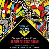 Sat, 12/16: Album Release Party @ Reggie’s in Chicago!