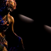 Chicagoist: “Pencil This In: Chicago Afrobeat Project At Martyrs'”